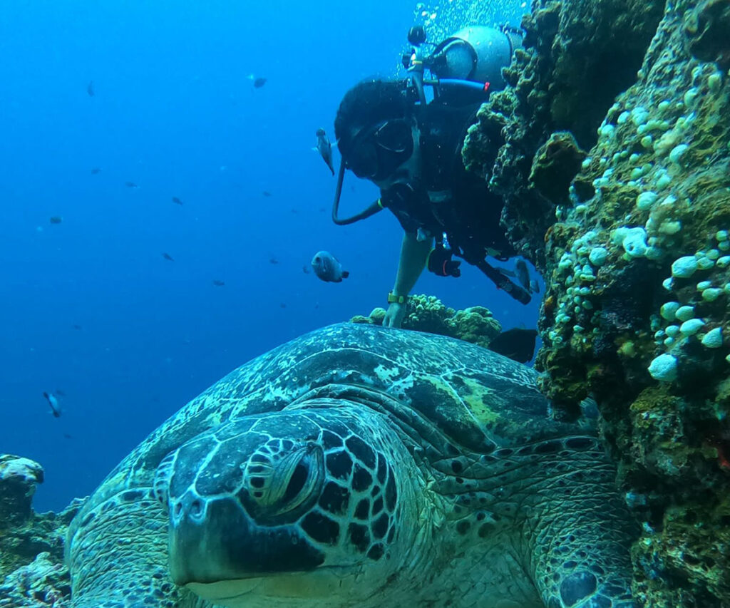 diving